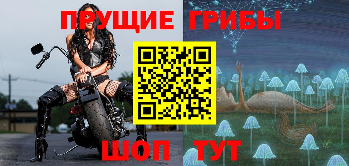 Псилоцибиновые грибы GOLDEN TEACHER  Вход с VPN  цены наркотик  Качканар  Псилоцибиновые грибы прущие грибы 